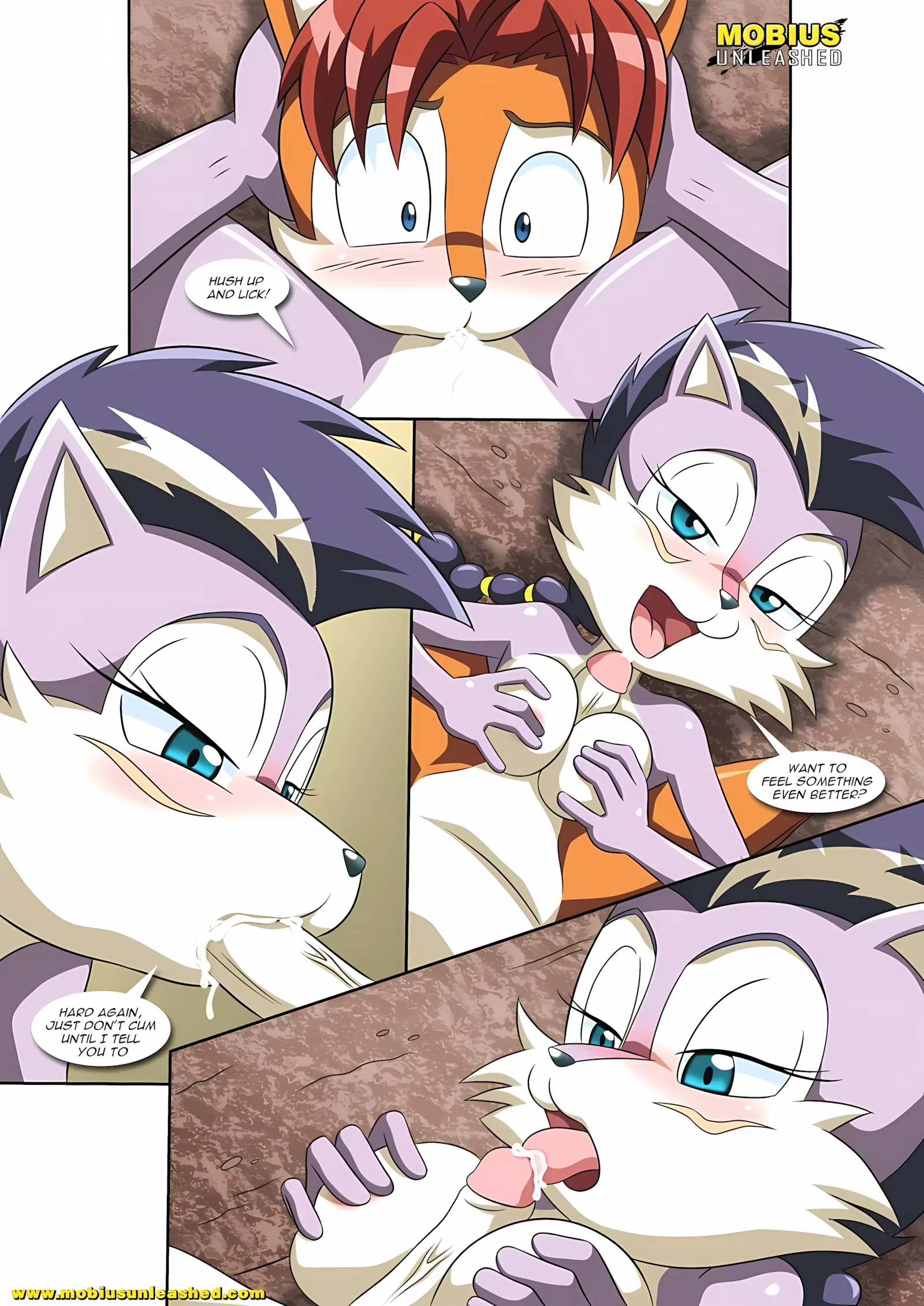 A Wolf Pack Affair (Sonic the Hedgehog) [Palcomix], 1 . A Wolf Pack Affair - (Sonic the Hedgehog) [Palcomix], page 11 of 15