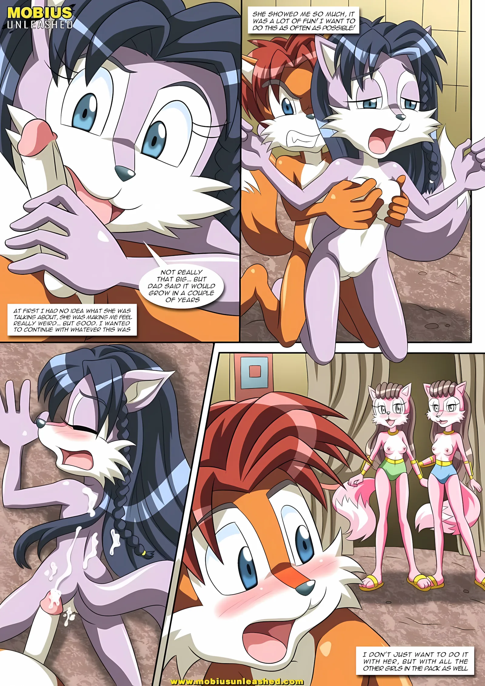 A Wolf Pack Affair (Sonic the Hedgehog) [Palcomix], 1 . A Wolf Pack Affair - (Sonic the Hedgehog) [Palcomix], page 3 of 15